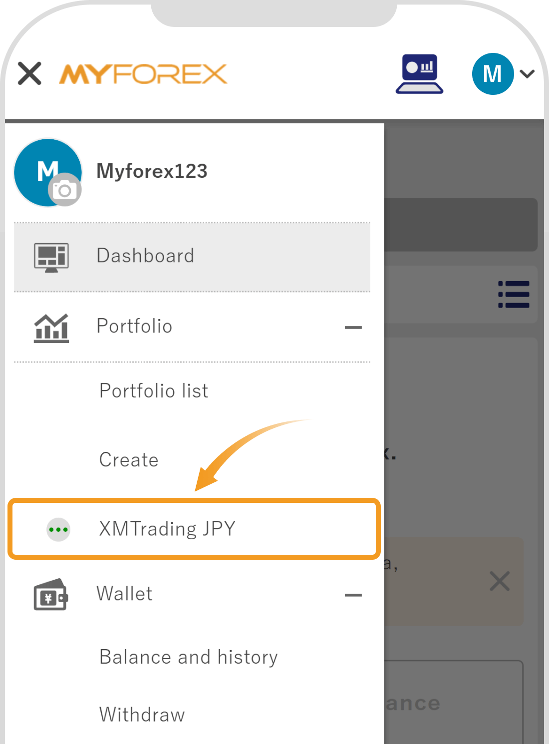 Choose a portfolio