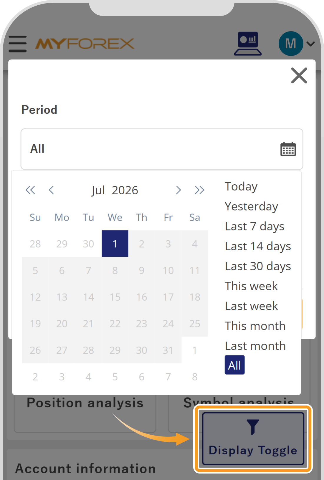 Portfolio display toggle