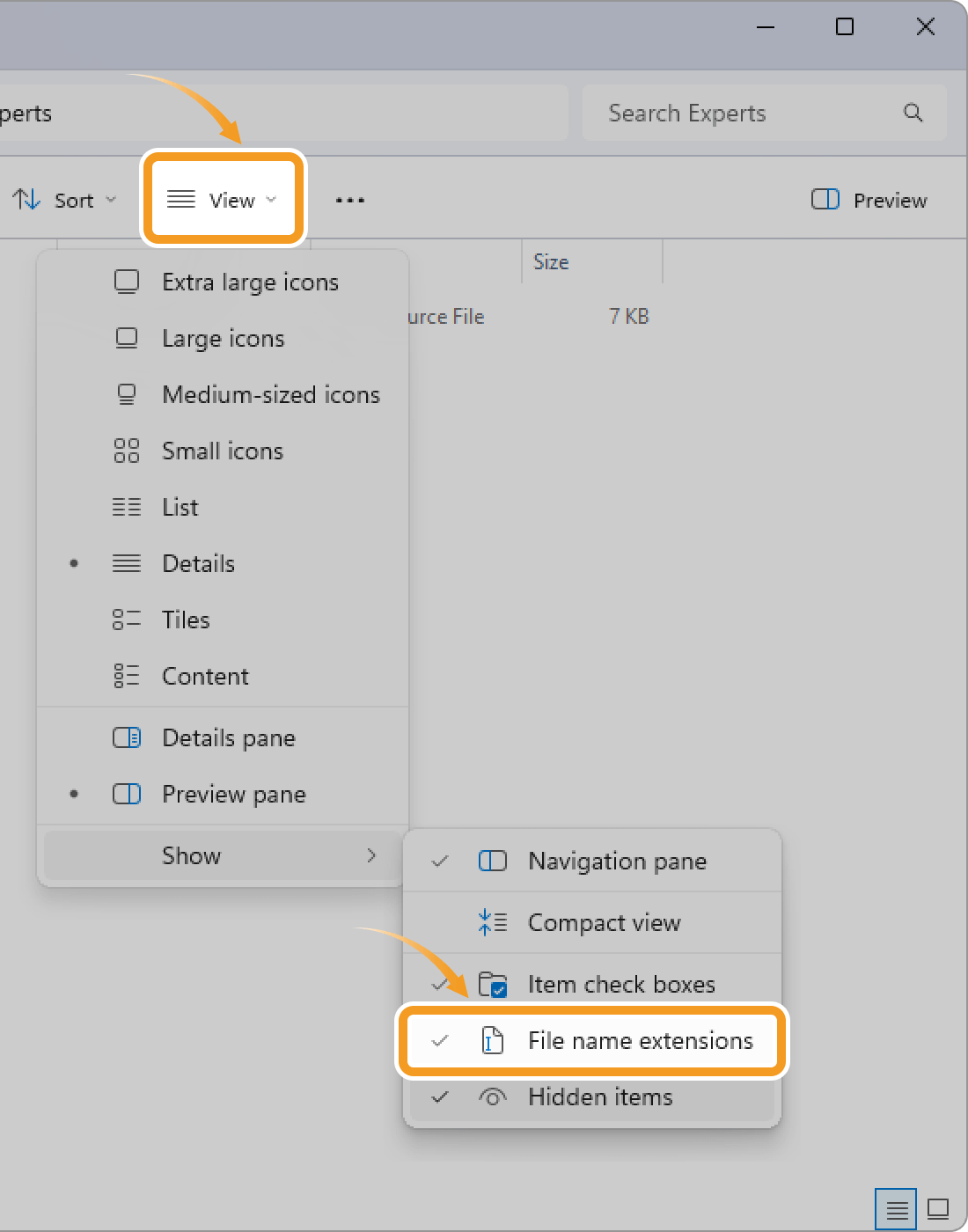 Make the extension visible