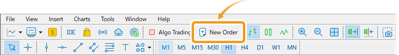 Click New Order in the toolbar