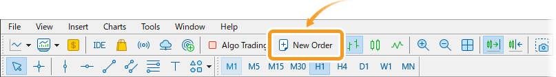 Click New Order in the toolbar