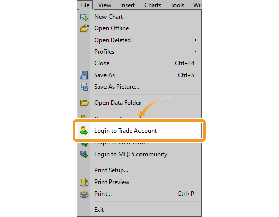 Click File in the menu and select Login to Trade Account