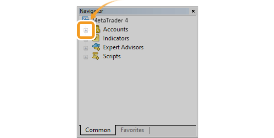 Click + to the left of Accounts in the Navigator
