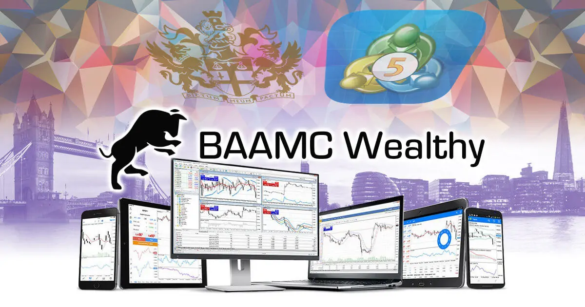 BAAMC Wealthy、ヘッジング機能付きMT5をリリース