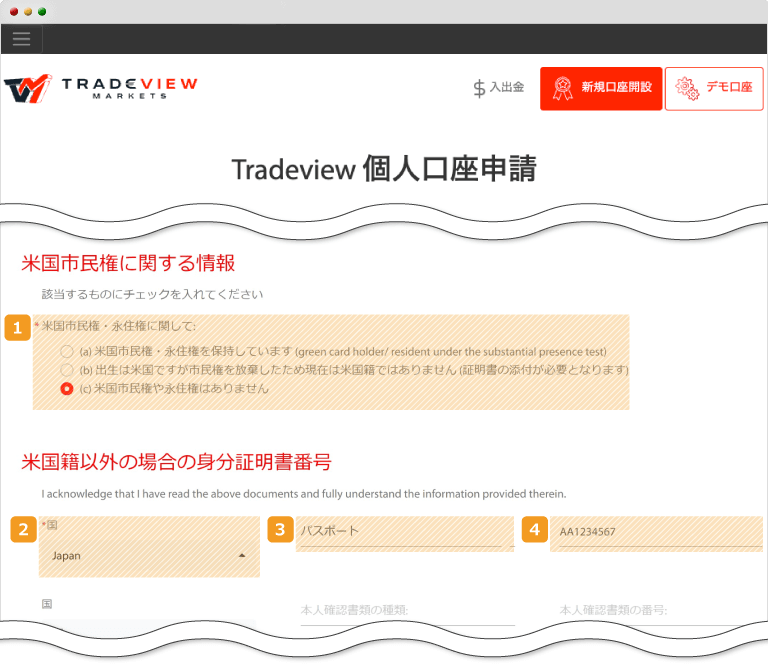 Tradeview・個人口座申請画面