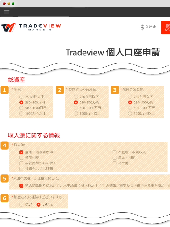 Tradeview・資産、収入源入力