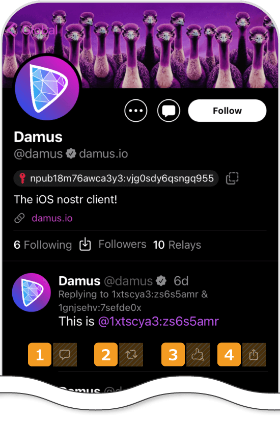 Damusのユーザー画面