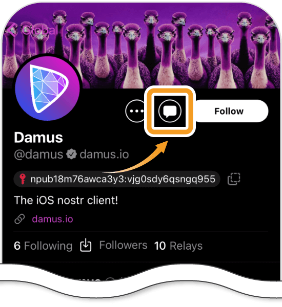 Damusのユーザー画面