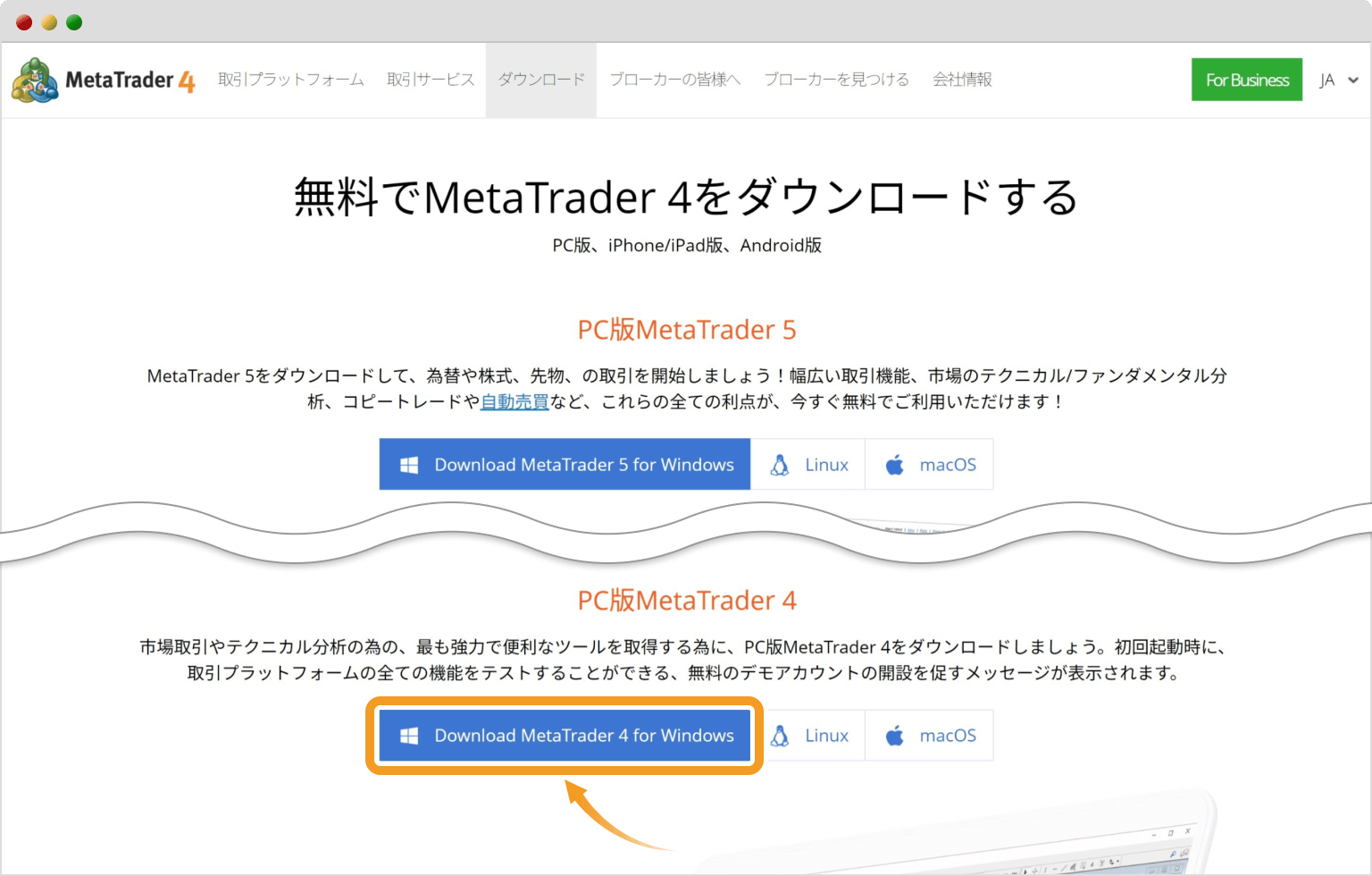 メタクオーツ社の公式サイト