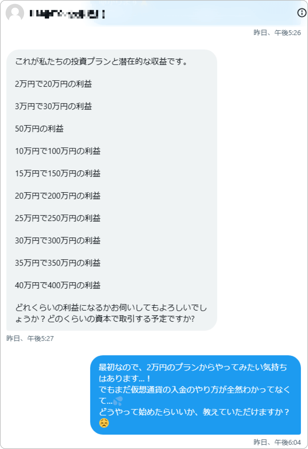投資額とリターンの説明