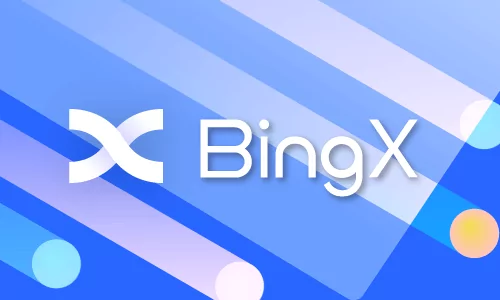 
BingX